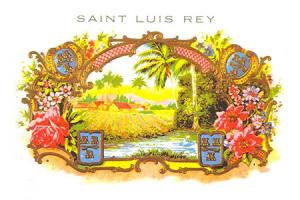 圣路易斯．雷伊